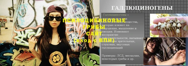 амф Курчалой