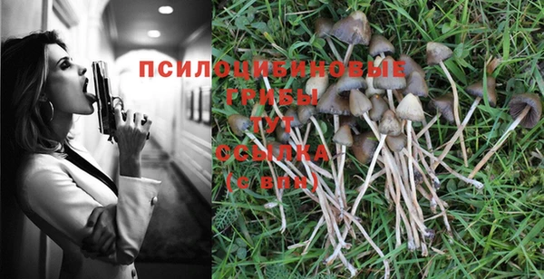 дурь Дмитров