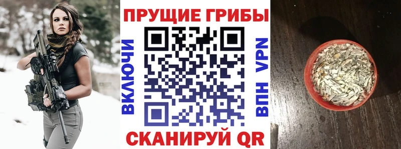 Галлюциногенные грибы Psilocybine cubensis  Октябрьск 